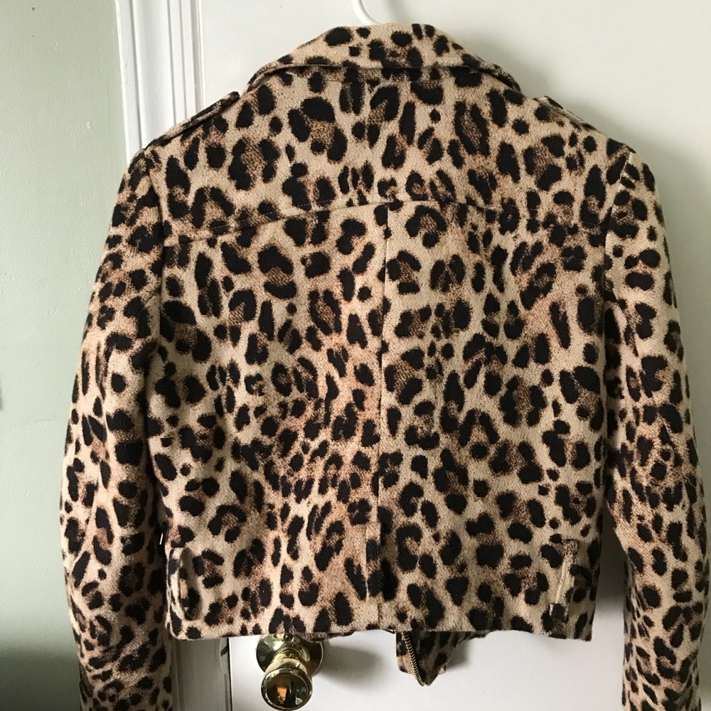 Leopard perfecto jacket from Zara